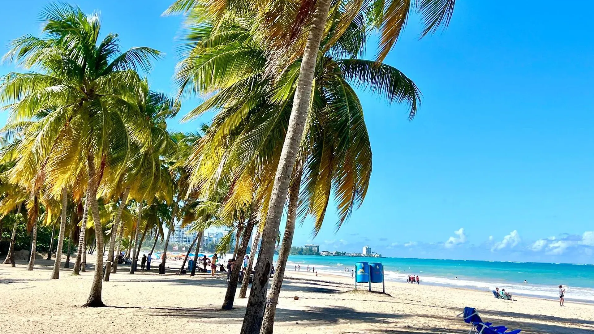 Beachfront Tropical Tantra Apartment San Juan